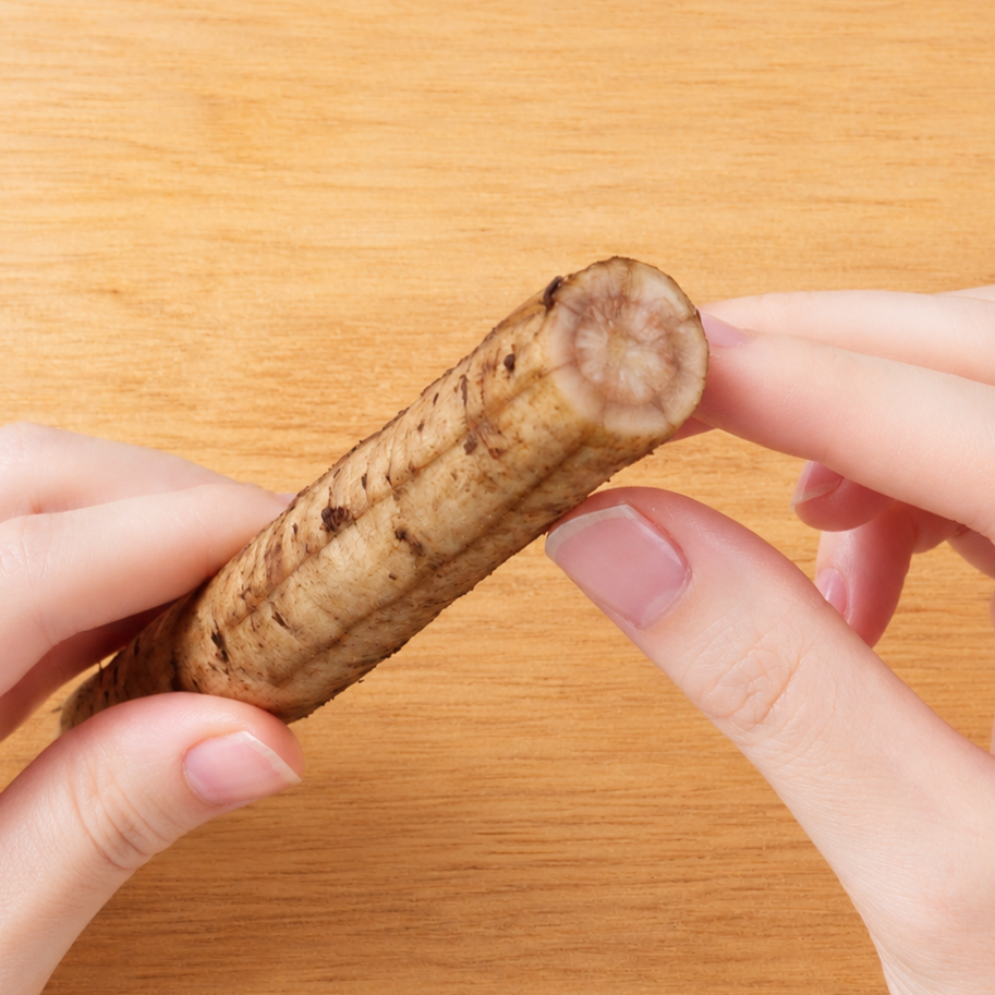 Gobo held up to show the shallow lengthwise cuts made before sasagaki