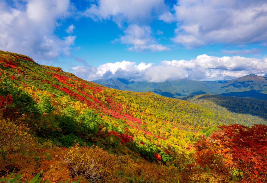 Autumn foliage at Akadake Ginsendai in Kamikawa, Hokkaido, with colorful mountain slopes and views across the Daisetsuzan area.