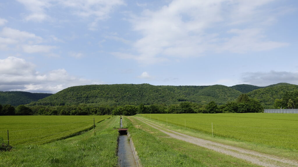 Mochi rice fields surrounded by mountains in Kamikawa, Hokkaido