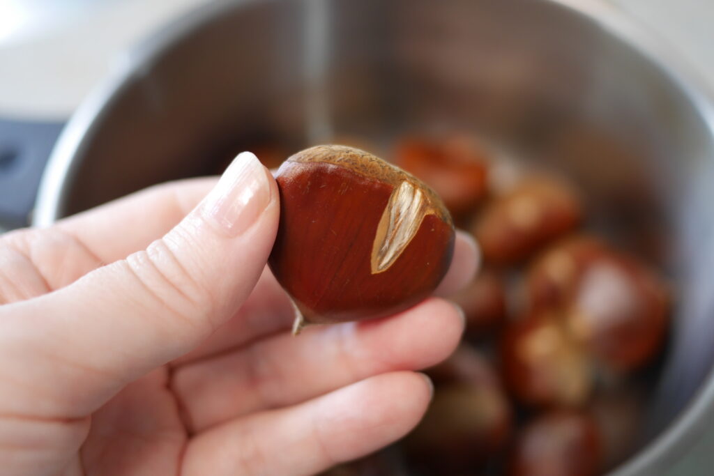 Chestnut with a small section of the outer shell removed before pressure-cooking