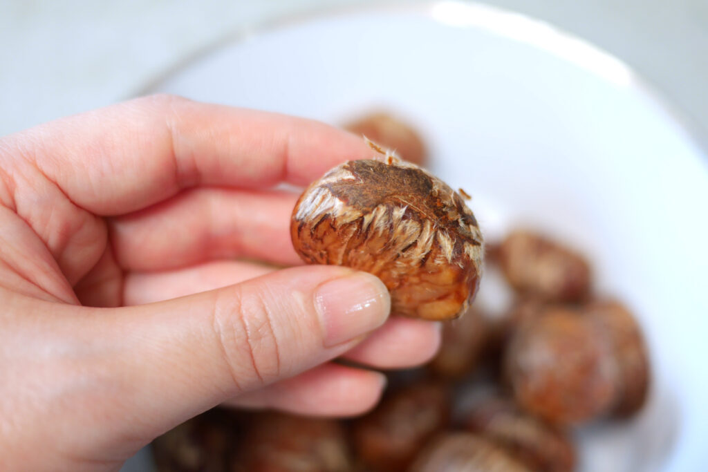 Pressure-cooked chestnut with the hard outer shell removed and inner skin left intact
